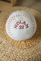 Baseball Buddy