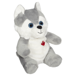 Sparkle Eye Husky 6" - 14793