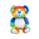 Little Rainbow Bear