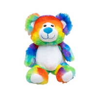 Little Rainbow Bear