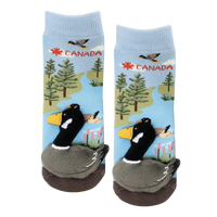 Messy Moose Socks, Baby Socks Canada Goose Socks, 6 Pack